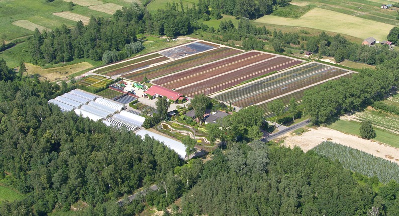 kinderopvang